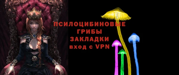 PSILOCYBIN Алексеевка