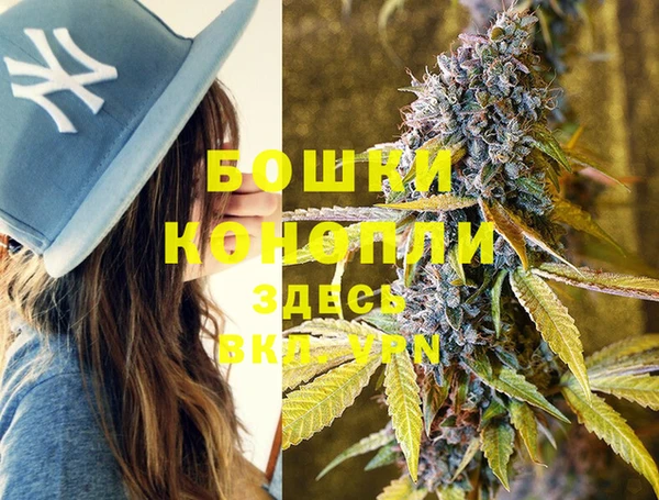 PSILOCYBIN Алексеевка