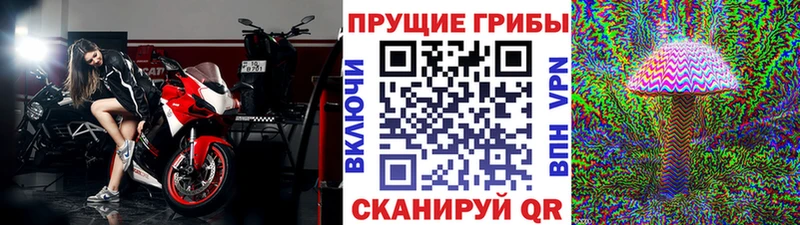 наркота  Дегтярск  Галлюциногенные грибы ЛСД 