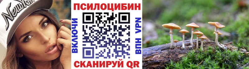 Галлюциногенные грибы Cubensis Дегтярск